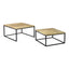 HOLLIS NESTING COFFEE TABLE SET