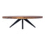 PARQ OVAL COFFEE TABLE AMBER