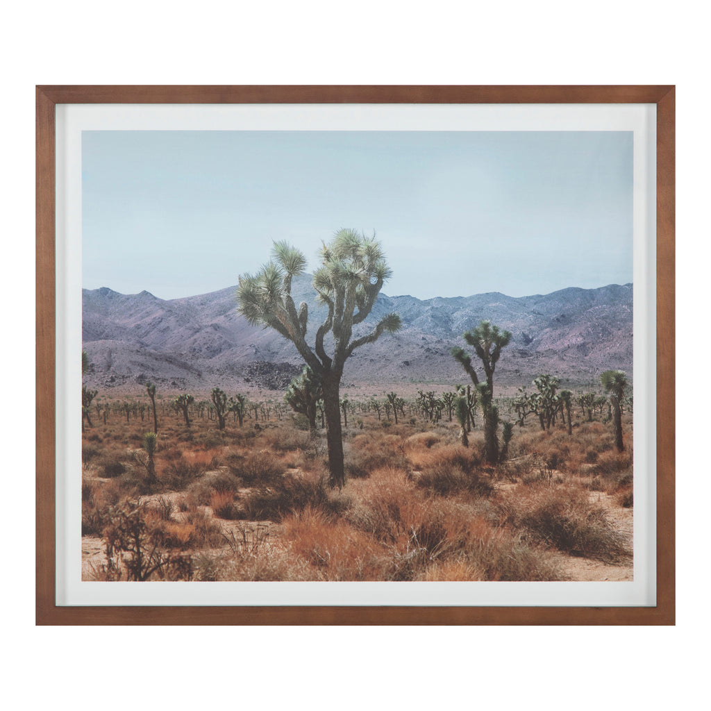 DESERT LAND FRAMED PRINT